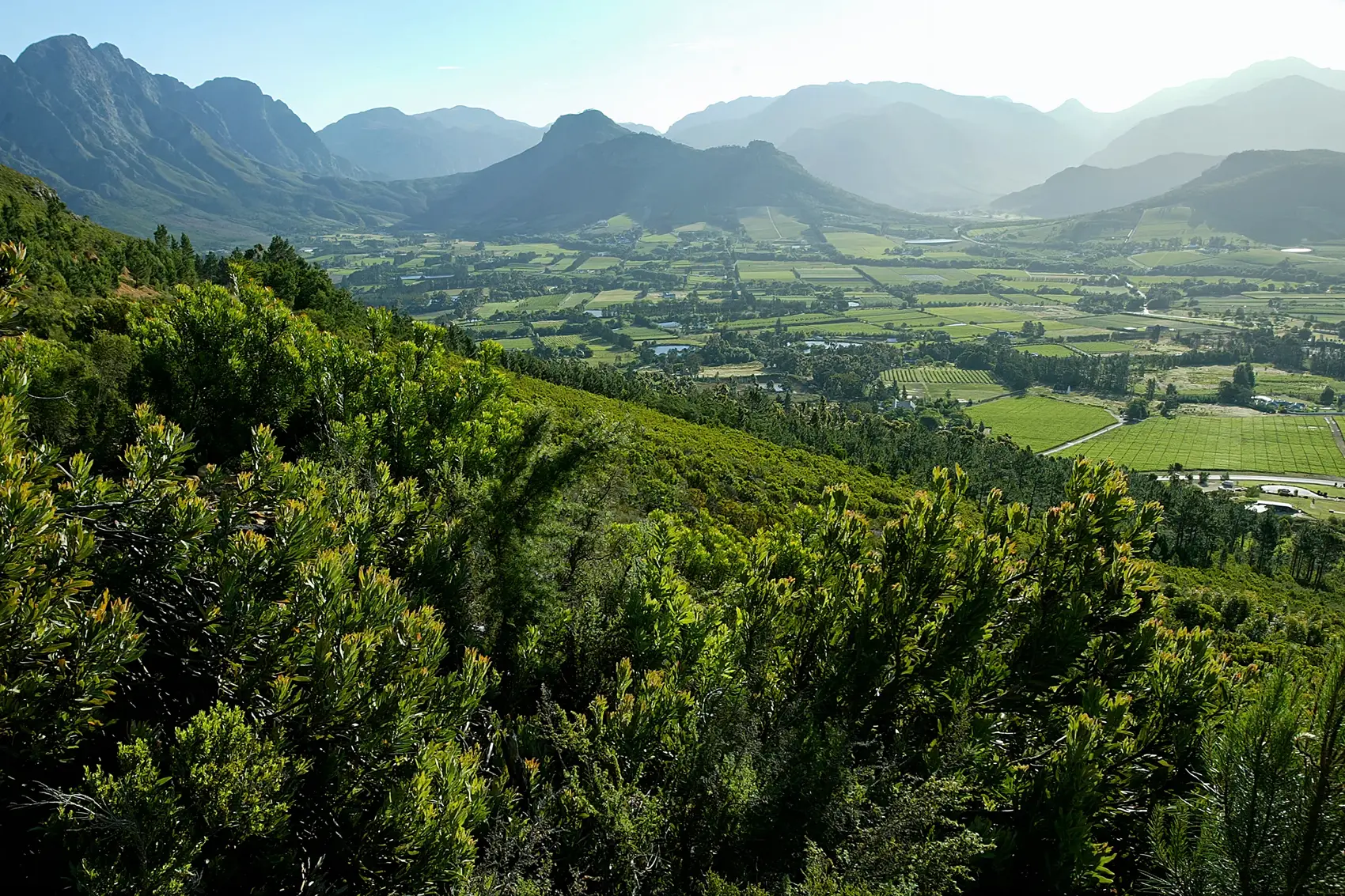 Franschhoek valley in the Cape Winelands